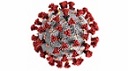 coronovirus disease