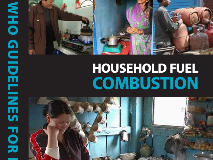 Publication Household Fuel Combustion