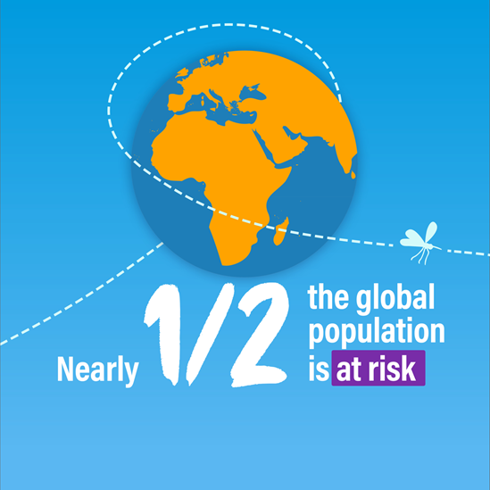 half the world is at risk of malaria