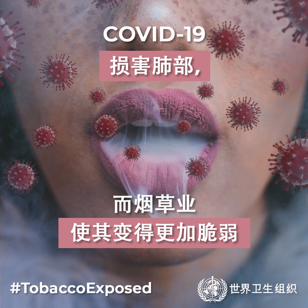Social media tile: "COVID-19 preys on lungs, while the tobacco industry makes them more vulnerable."  Speak out #TobaccoExposed