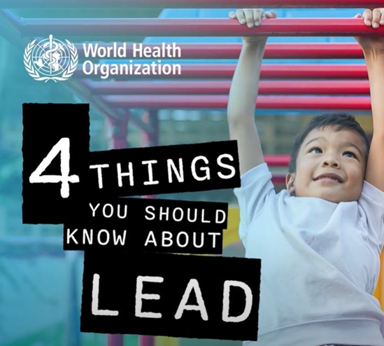 cover animation 4 things to know about lead
