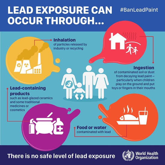 Lead exposure can occur through...