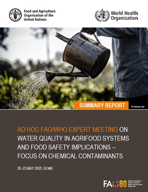 Ad hoc FAO/WHO expert meeting on water quality in agrifood systems and food safety implications – focus on chemical contaminants