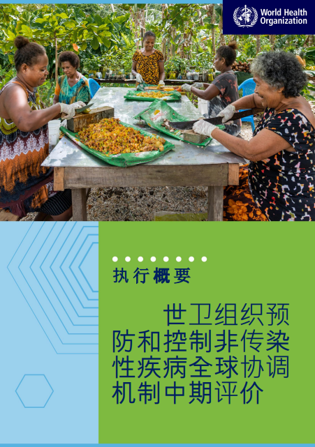 世卫组织预防和控制非传染性疾病全球协调机制中期评价: 执行概要