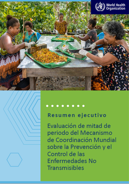 Evaluación de mitad de periodo del Mecanismo de Coordinación Mundial sobre la Prevención y el Control de las Enfermedades No Transmisibles: Resumen ejecutivo