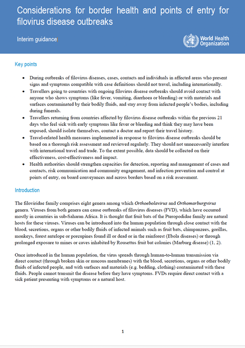 Considerations for border health and points of entry for filovirus disease outbreaks
