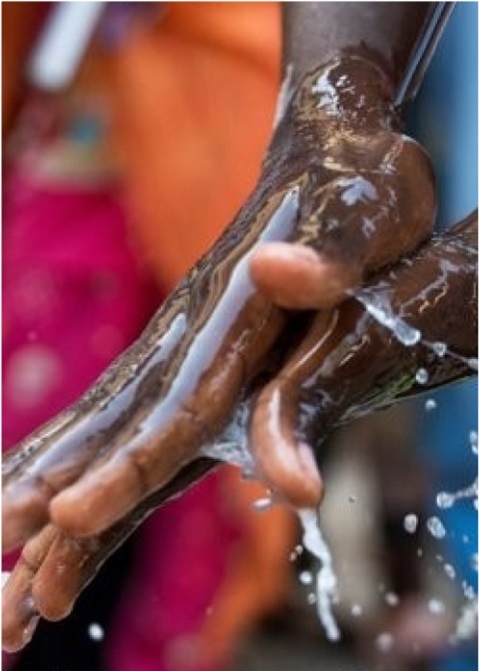 Cholera: WHO Health Emergency Appeal 2024