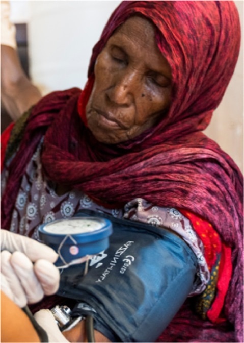 Sudan: WHO Health Emergency Appeal 2024