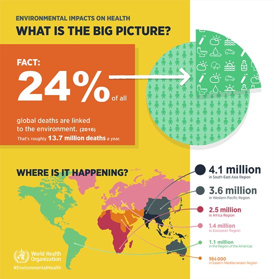 What is the big picture?
