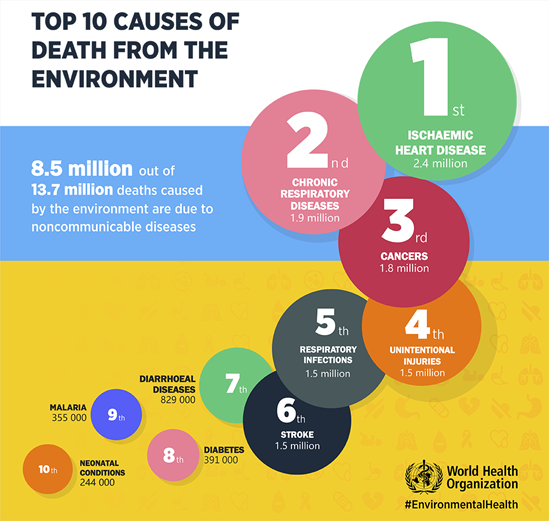 Top 10 causes of death from the environment