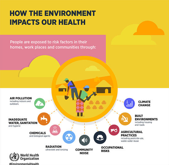 How the environment impacts our health