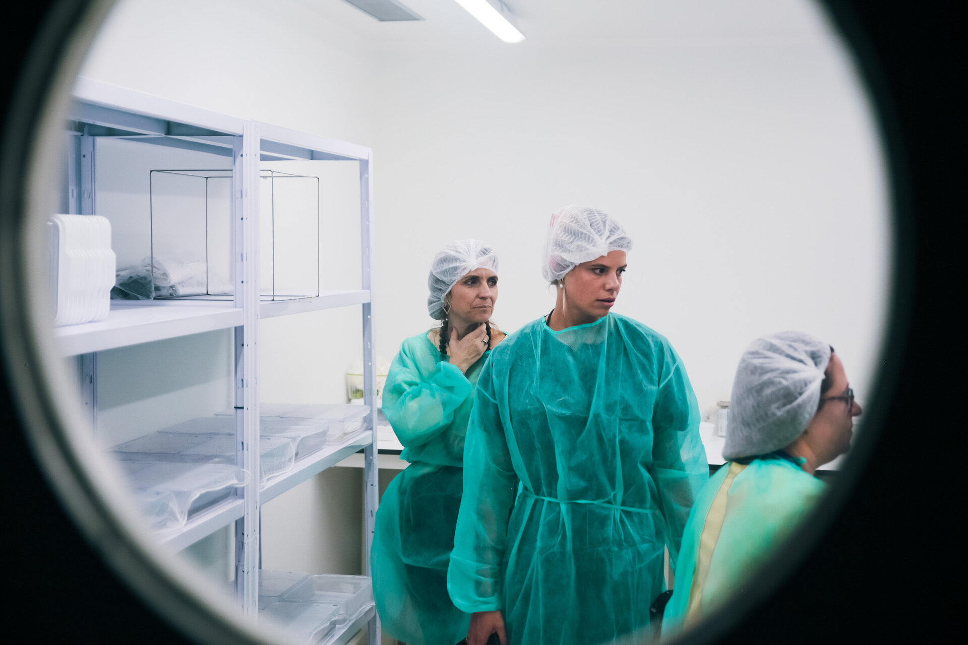 Dengue researches at the Institute of Hygiene & Tropical Medicine in Portugal