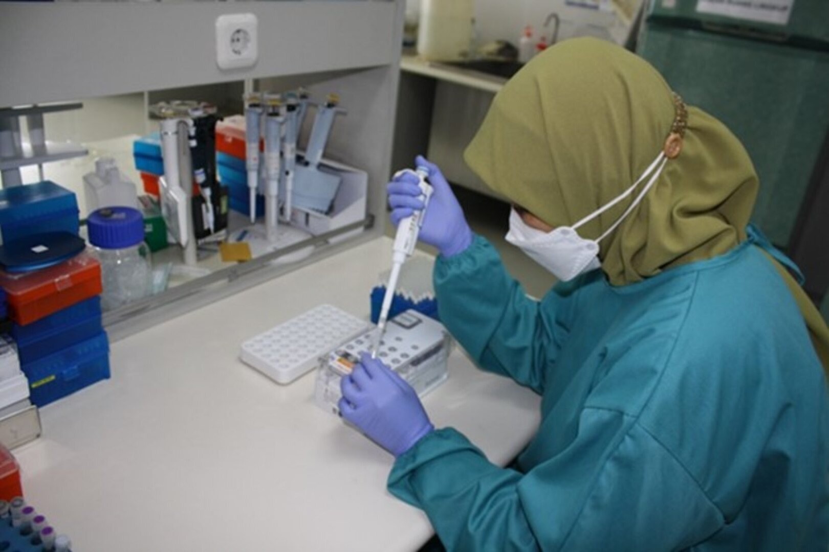 A laboratory officer conducting external quality assessment on whole genome sequencing