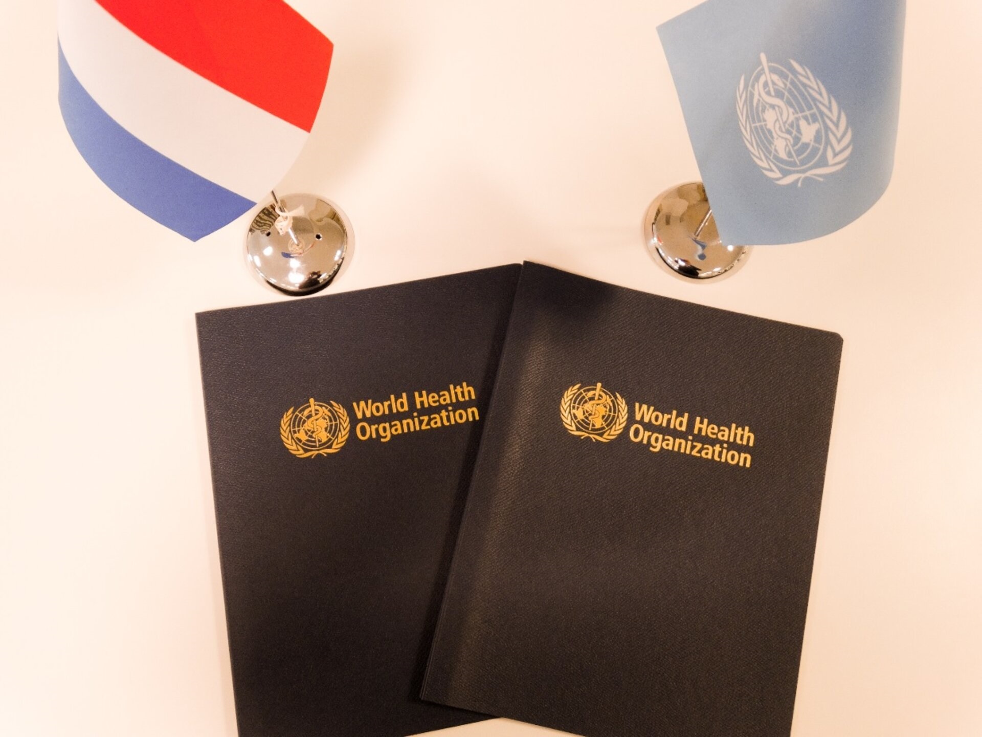 Netherlands and WHO Strategic Partnership Netherlands and WHO Strategic Partnership