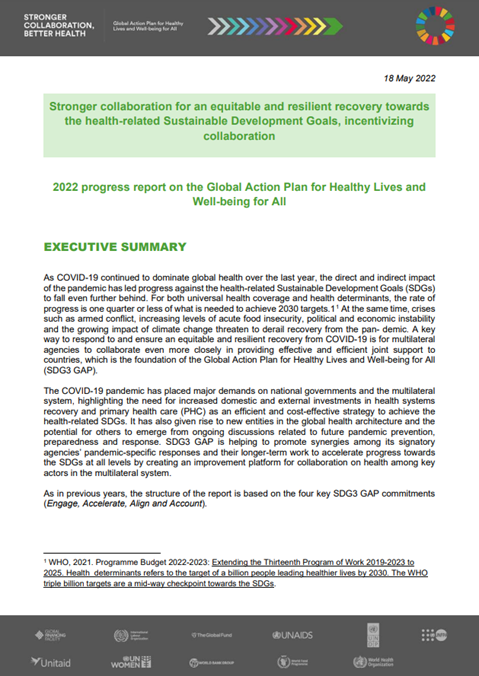 2022 Progress Report – Executive summary
