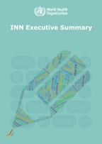Icons INN Executive Summary