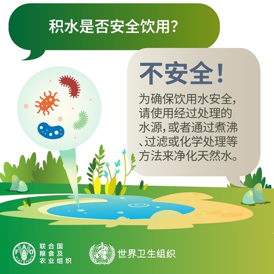 WFSD 2025 社交媒体卡 - 可安全饮用的积水