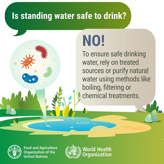 WFSD 2025 social media card standing water safe to drink