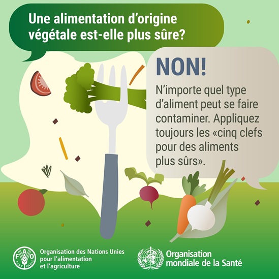 WFSD 2025 carte des médias sociaux - une alimentation d'orgine végétale