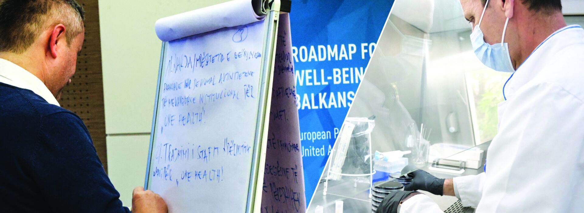 Image collage of a man writing on a paper board, a glamps of a roadmap cover, and a lab technician manipulating samples in a laboratory.