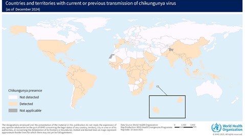 Chikungunya epidemiology update - June 2025