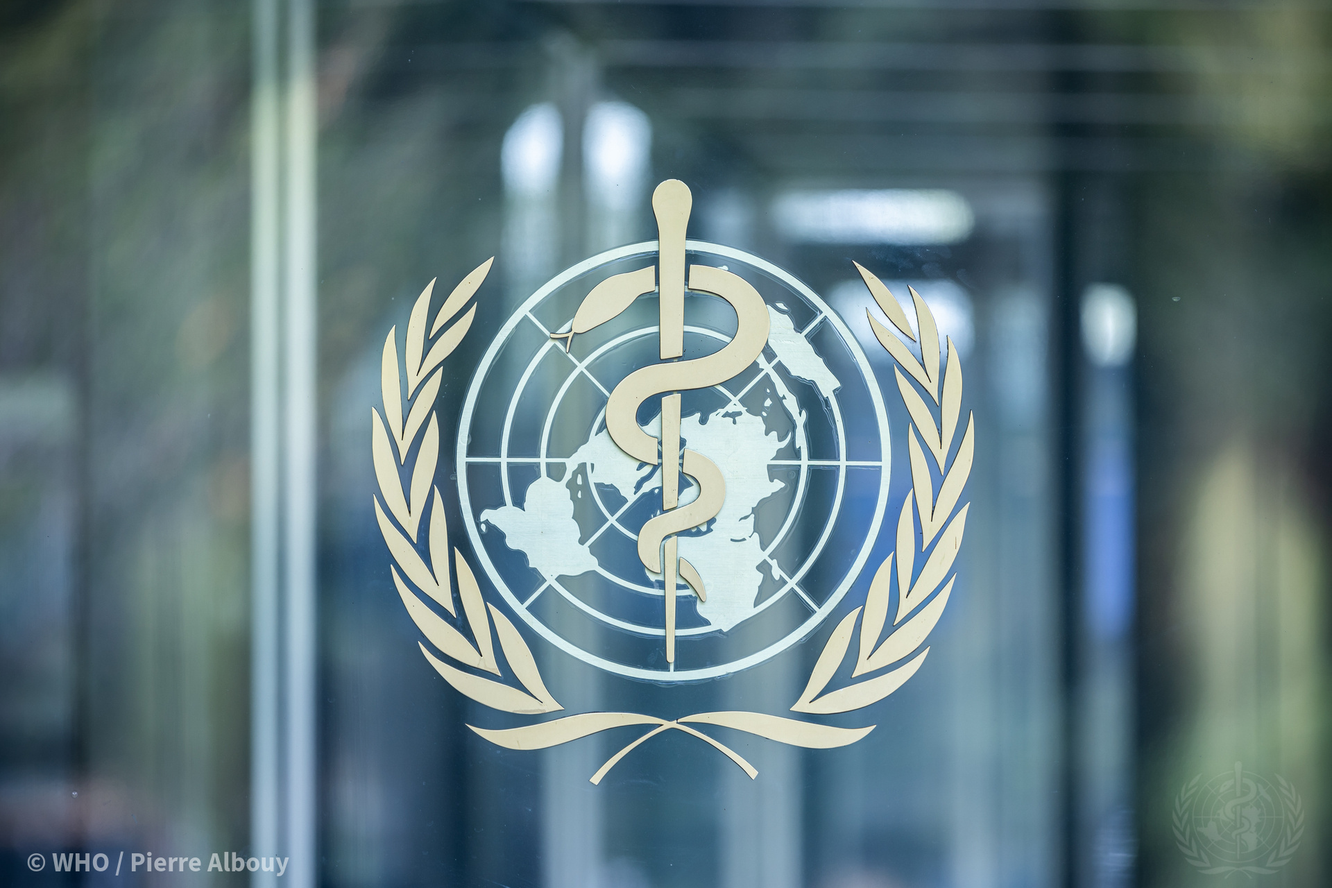 who LOGO