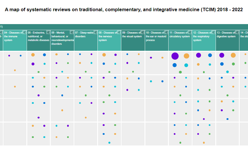 Systematic review map in traditional medicine