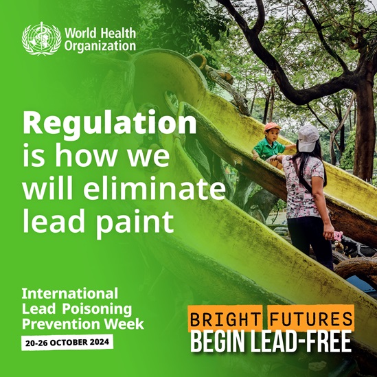 Social card which reads "Regulation is how we will eliminate lead paint"