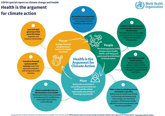 cop29-special-report-summary-poster