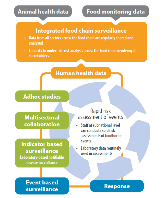 Fig 1_foodborne surveillance system