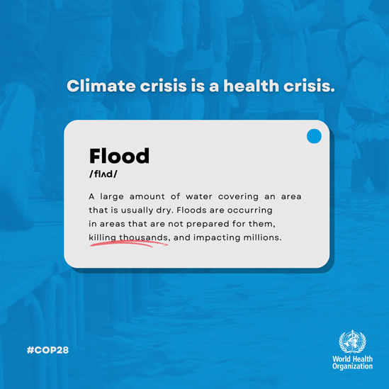 climate-dictionnary-flood social media tile