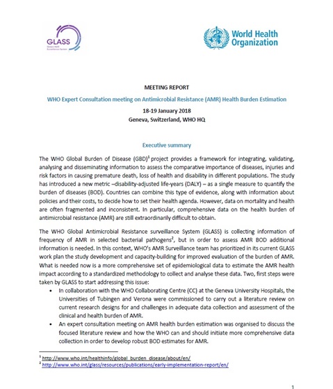 Antimicrobial Resistance (AMR) Health Burden Estimation - WHO Expert Consultation Meeting
