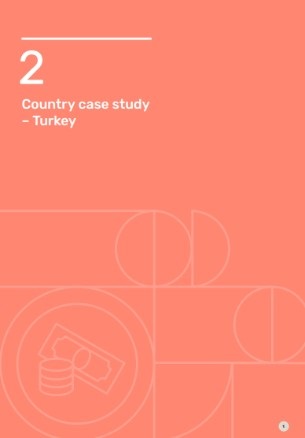 Country Case Study: Turkey