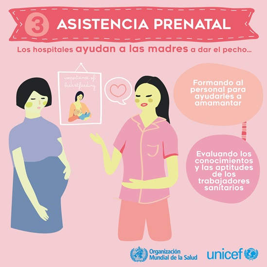 Spanish BFHI step 3 - Antenatal care infographic