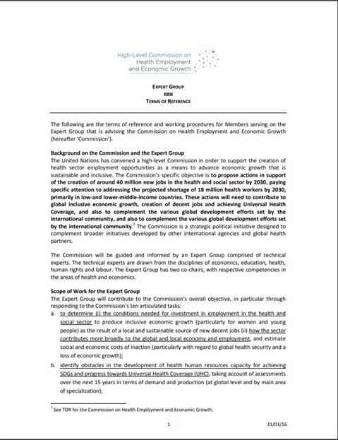 High-Level Commission on Health Employment and Economic Growth - Expert group