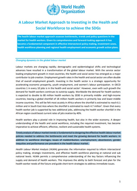 A Labour Market Approach to Investing in the Health and Social Workforce to achieve the SDGs