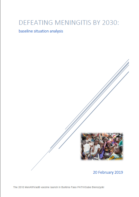 Defeating meningitis 2030 : baseline situation analysis