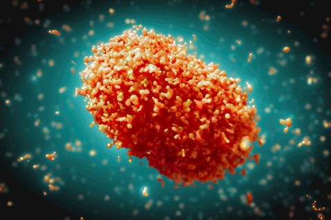 Update 77 – Monkeypox outbreak, update and advice for health workers