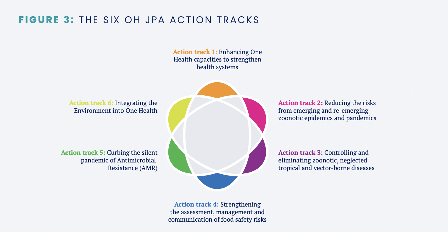 The six OH JPA action tracks