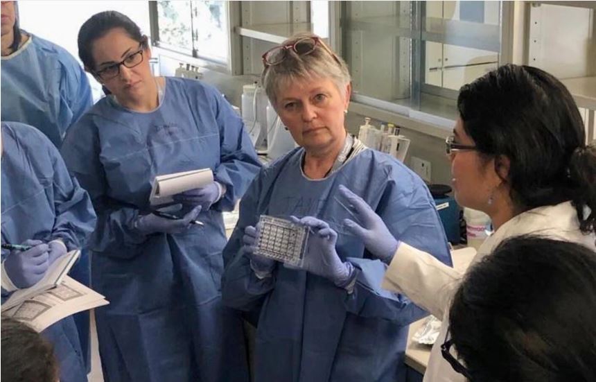 People in laboratory with yellow fever testing kit