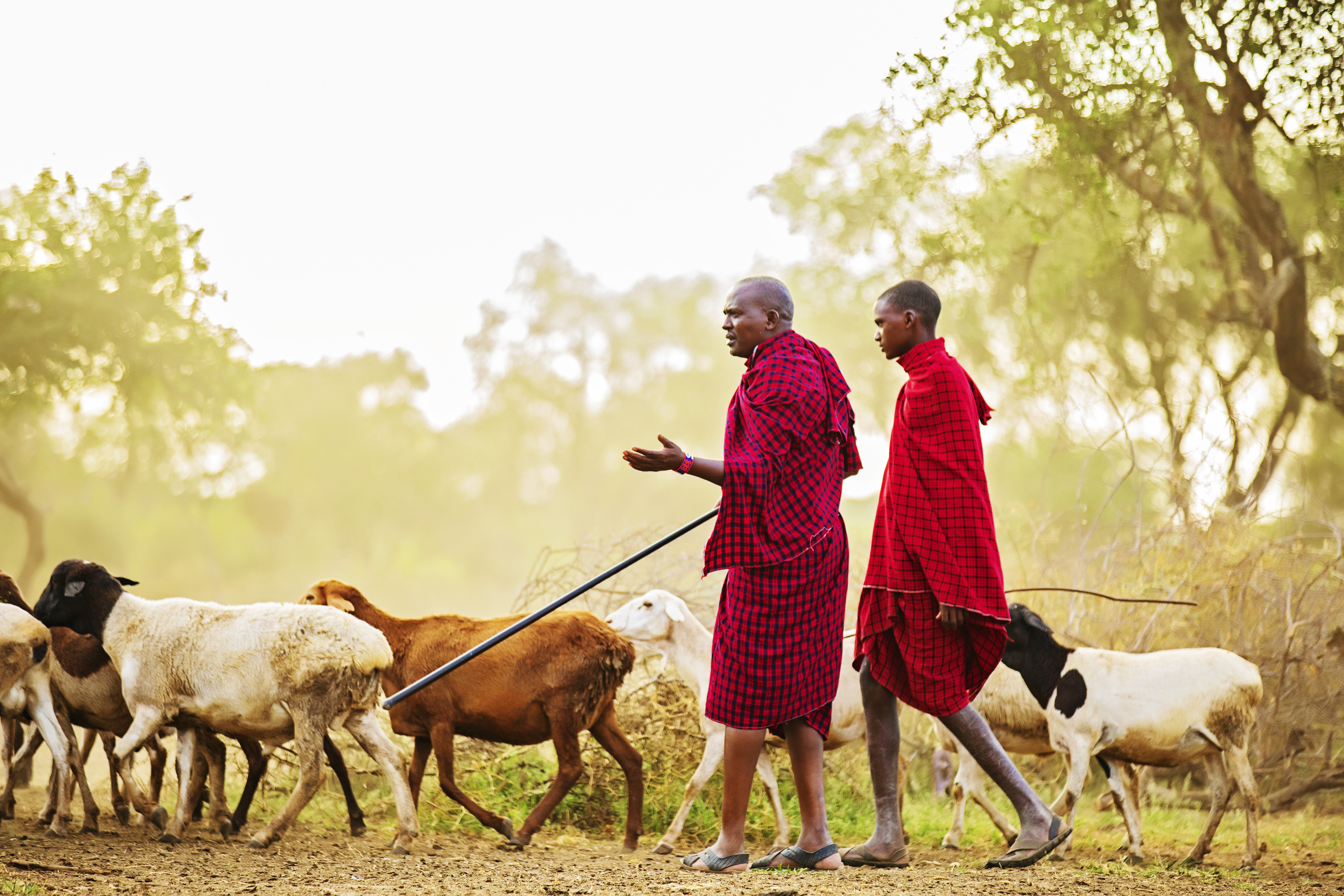 1_61A0466 copy - kenya farm