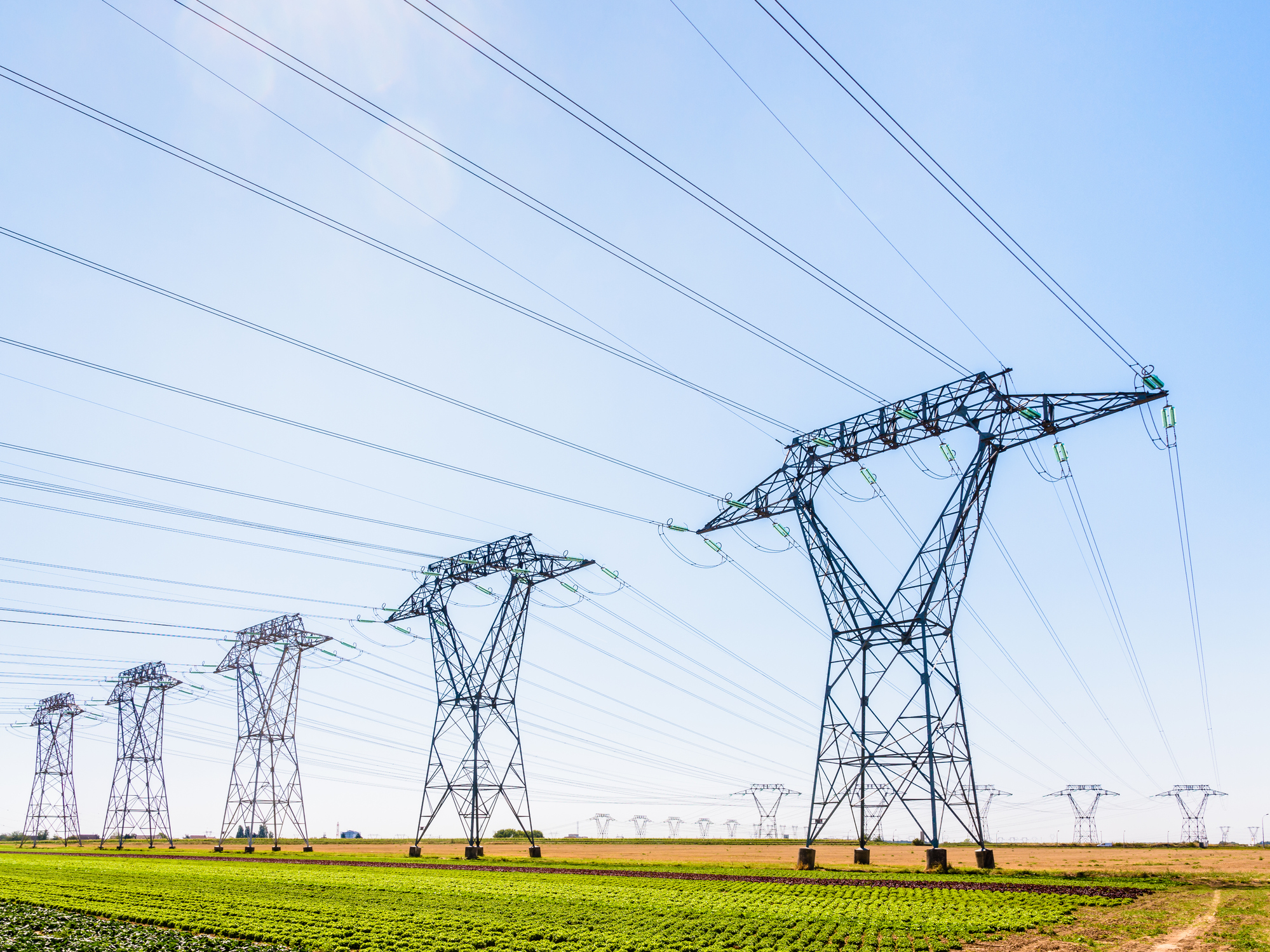 Dozens of electricity pylons in the french countryside under a clear blue sky