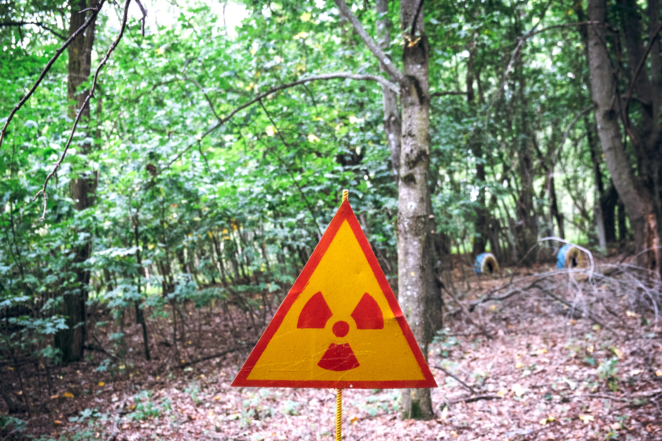 A sign warns against going in the woods within the Chernobyl exclusion zone. Radiation is most concentrated in the soil and in the vegetation, making these areas particularly dangerous.