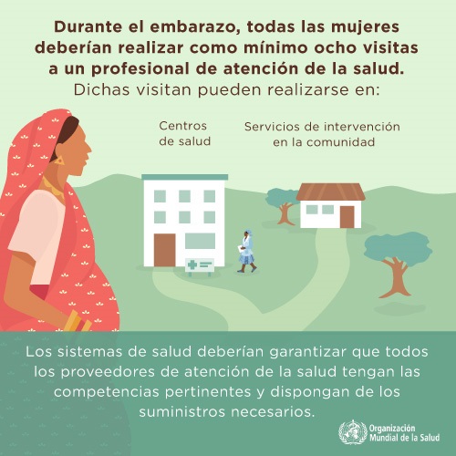Infografía : Durante el embarazo, todas las mujeres deberían realizar como mínimo ocho visitas a un profesional de atención de la salud