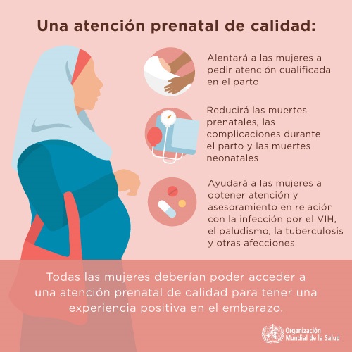 Infografía :  Todas las mujeres deberían poder acceder a una atención prenatal de calidad para tener una experiencia positiva en el embarazo
