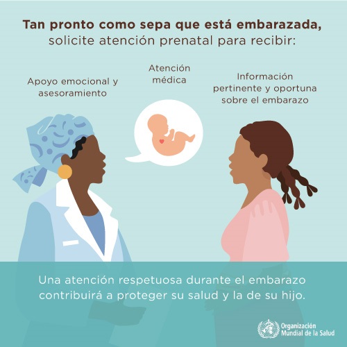 Infografía : Tan pronto como sepa que está embarazada, solicite atención prenatal para recibir