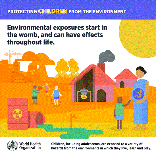 environmental exposure starts in the womb_en