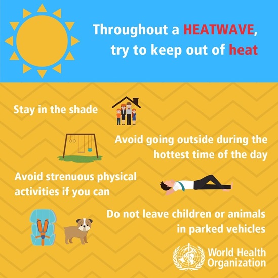 Try to keep out of heat
