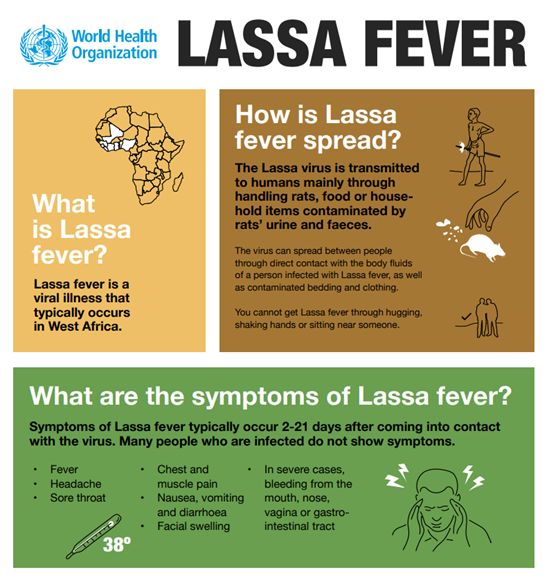 Lassa fever infographics