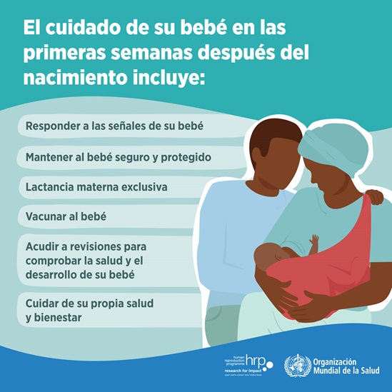 Infografía : El cuidado de su bebé en las primeras semanas después del nacimiento incluye: